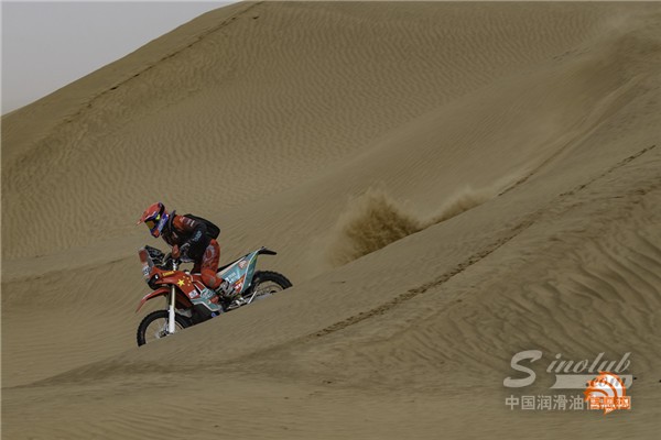 t0 (4).jpg