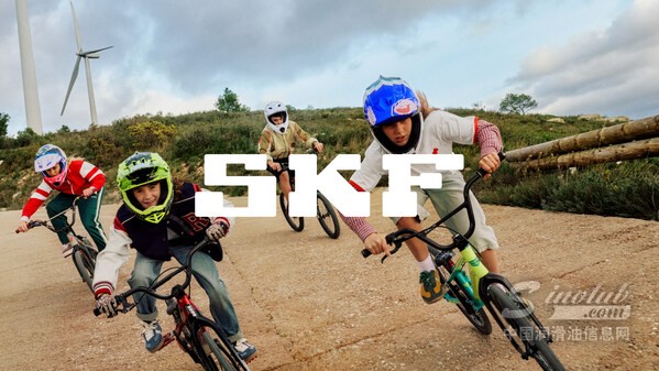 SKF[1].jpg